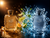 perfume wholesale New York