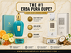 perfume wholesale suppliers usa