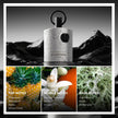 Afnan 9PM wholesale
